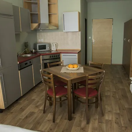 Apartment Studia A U Karla *