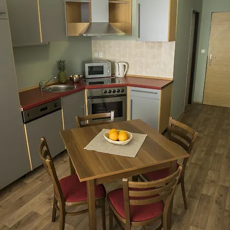 Apartment Studia A U Karla Turnov