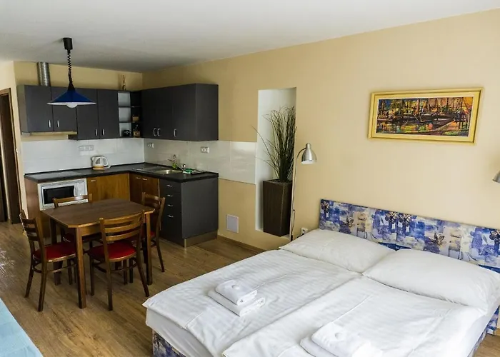 Studia A U Karla Appartement